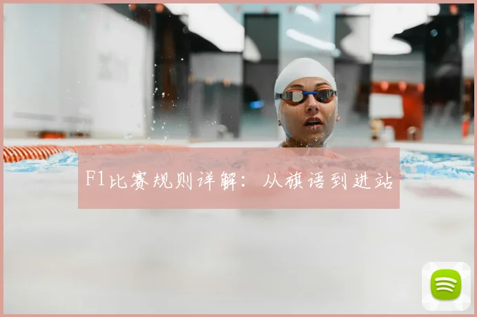 F1比赛规则详解：从旗语到进站