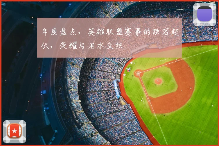 年度盘点,英雄联盟赛事的跌宕起伏,荣耀与泪水交织