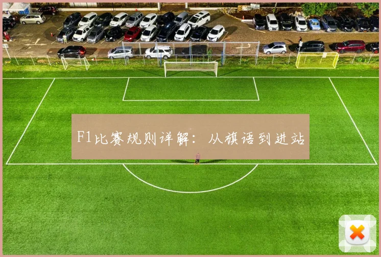 F1比赛规则详解：从旗语到进站