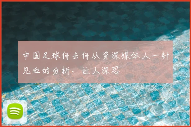 中国足球何去何从资深媒体人一针见血的分析,让人深思